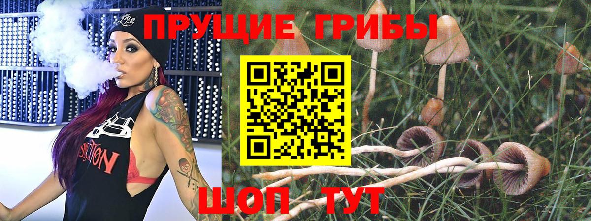 Псилоцибиновые грибы GOLDEN TEACHER  Галлюциногенные грибы Magic Shrooms  купить  сайты  Кудымкар  Вход с VPN 