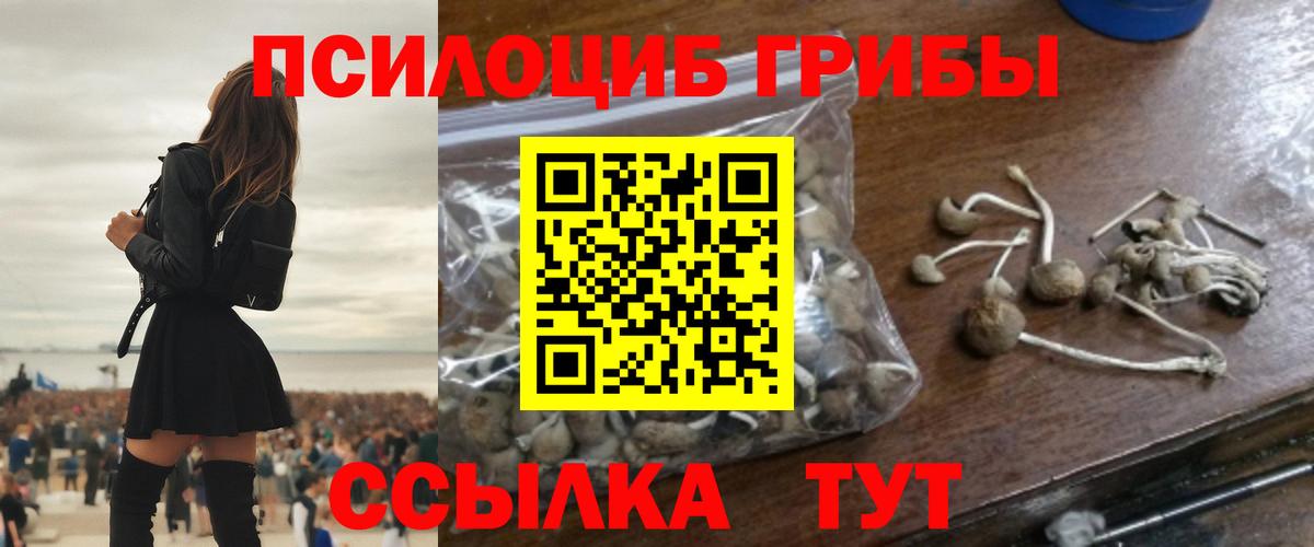 Галлюциногенные грибы прущие грибы Кудымкар